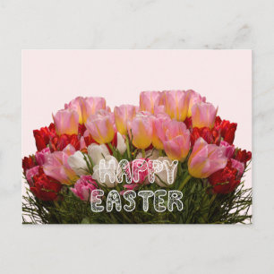 Cartão Postal De Festividades Feliz Páscoa Tulipas Rosa, Branca e Vermelha