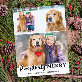 Cartão Postal De Festividades Feliz Pawsitivamente Personalizada 3 Cachorros Fot
