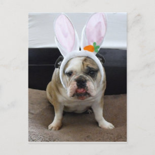 Cartão Postal De Festividades Felz pascoa