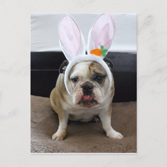 Cartão Postal De Festividades Felz pascoa (Frente)