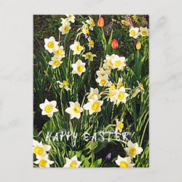 Cartão Postal De Festividades Felz pascoa