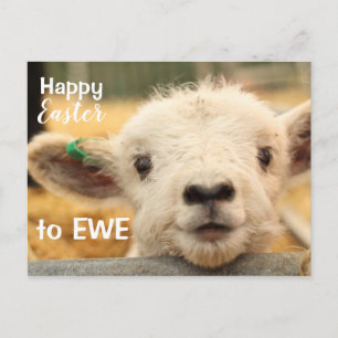 Cartão Postal De Festividades Felz pascoa à EWE.