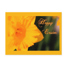 Felz pascoa Amarelo Flor Daffodilo do Primavera