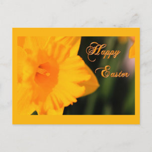 Cartão Postal De Festividades Felz pascoa Amarelo Flor Daffodilo do Primavera