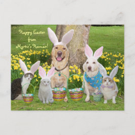 Cartão Postal De Festividades Felz pascoa do Humano de Myrtie!