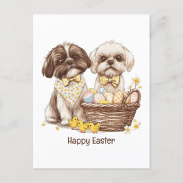 Cartão Postal De Festividades Felz pascoa Shih Tzu Dogs