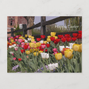 Cartão Postal De Festividades Felz pascoa Tulip Garden