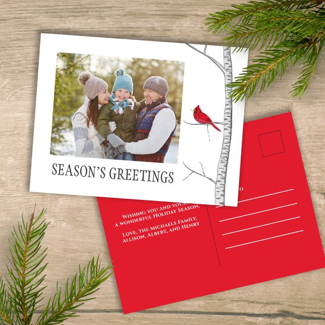 Cartão Postal De Festividades Feriado de inverno Feriado de saudações de época (Simple winter botanical red cardinal photo postcard with a minimalist design.)