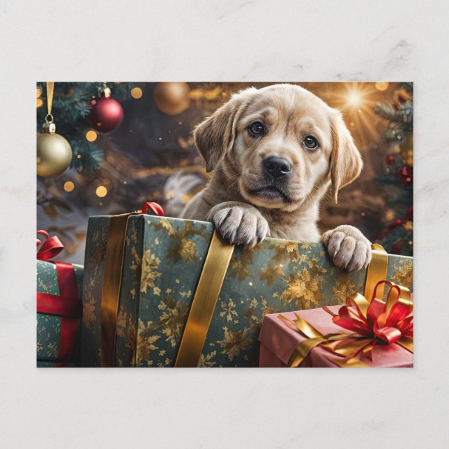 Cartão Postal De Festividades Feriado de Natal Amarelo Labrador Puppy (Frente)