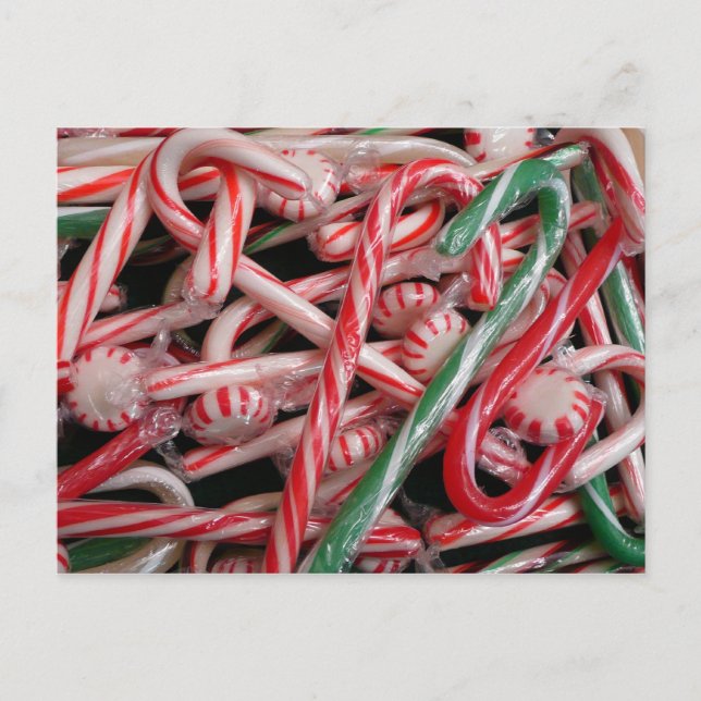 Cartão Postal De Festividades Feriado de Natal Candy Canes and Peppermints (Frente)