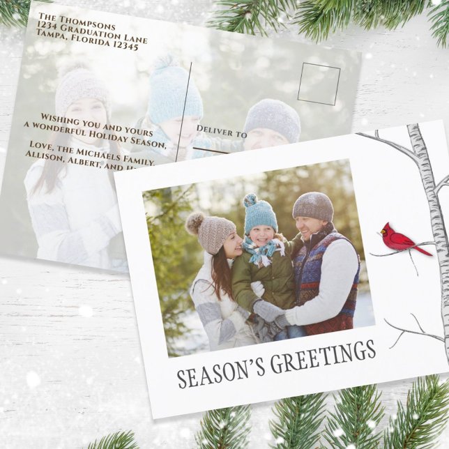 Cartão Postal De Festividades Feriado de saudações da temporada Dois Cardeal Ver (Simple winter botanical red cardinal photo postcard with a minimalist design.)