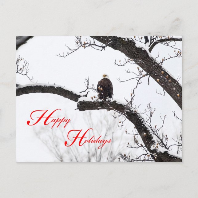 Cartão Postal De Festividades Feriado Natural (Frente)