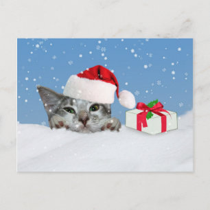 Cartão Postal De Festividades Feriados, Kitten no Chapéu Santa