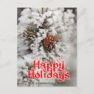 Cartão Postal De Festividades Feriados - Lodgepole Pine Cone em Yellowstone