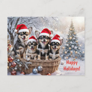 Cartão Postal De Festividades Férias de Natal Filhotes de Chihuahua Fofos