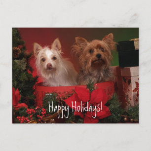 Cartão Postal De Festividades Férias Felizes Yorkie e Amigos