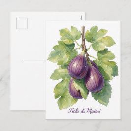 Cartão Postal De Festividades Fichi di Maiori – Figo Italiano Jardim Botânico da