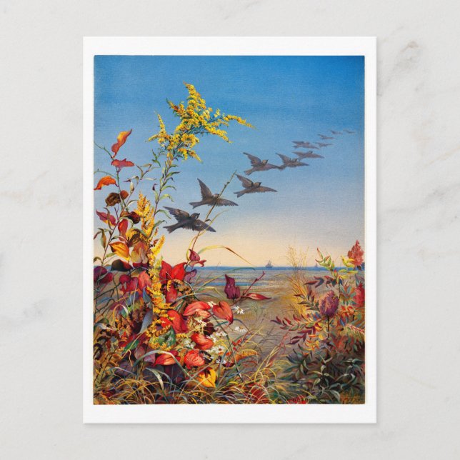 Cartão Postal De Festividades Fidelia Bridges (Frente)