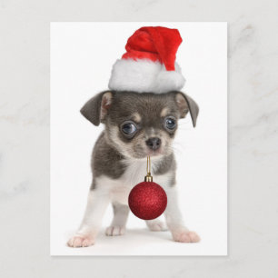 Cartão Postal De Festividades Filhote de cachorro do Feliz Natal