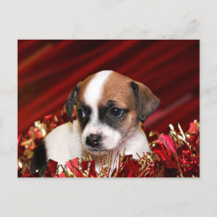 Cartão Postal De Festividades Filhote de cachorro do Natal