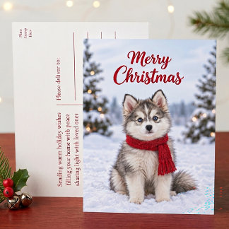 Cartão Postal De Festividades Filhote de Pomsky Fofo Amante de Cachorro Husky Fe