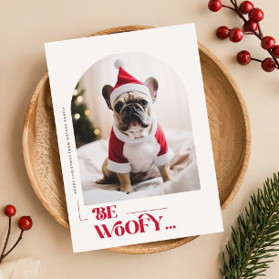 Cartão Postal De Festividades Filhote Fofo Chapéu de Papai Noel Foto de Cachorro