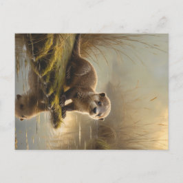 Cartão Postal De Festividades First Light Kin Otter Postcard – Gentle Joy