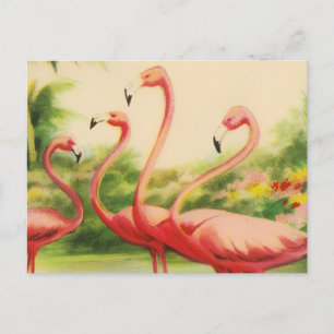 Cartão Postal De Festividades Flamingos Vintage