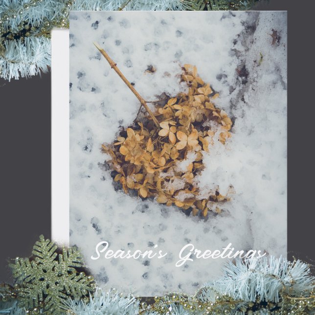 Cartão Postal De Festividades Flor de Hortensia na neve (Criador carregado)