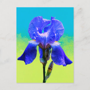 Cartão Postal De Festividades flor de íris