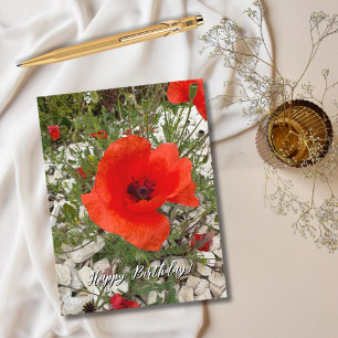 Cartão Postal De Festividades Flor de Papoula Vermelha Fotografia Portugal, Viag