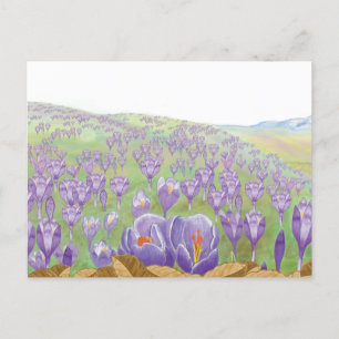 Cartão Postal De Festividades Flores de Croco Roxo na Ilustração de Primavera Hi