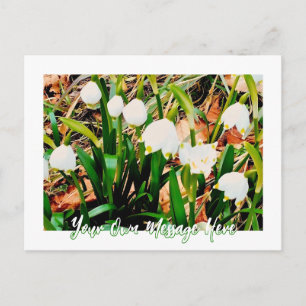 Cartão Postal De Festividades Flores de neve nos Alpes Franceses - Personalizáve