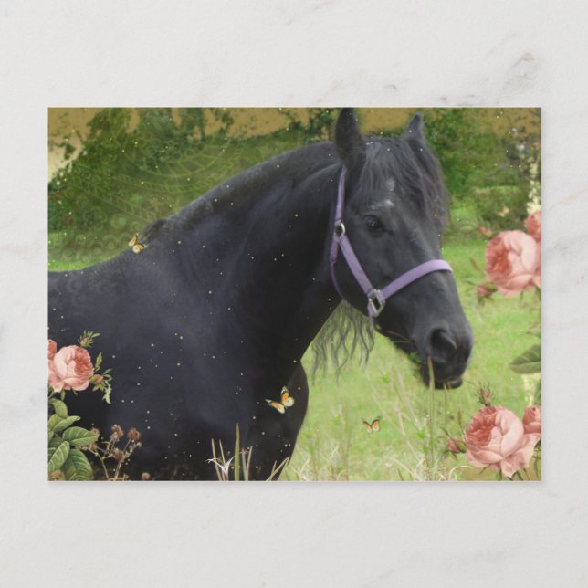 Cartão Postal De Festividades Flores de Verão (Frente)