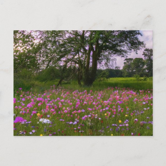 Cartão Postal De Festividades Flores Roxas em Dusk no País (Frente)