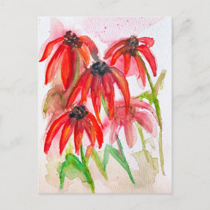 Cartão Postal De Festividades Flores Vermelhas de Echinacea em Aquarela