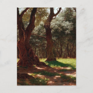Cartão Postal De Festividades Floresta de Oliveiras em Cap Saint Martin