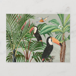 Cartão Postal De Festividades Floresta Tropical de Cores Aquáticas e Pássaros tu