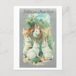 Cartão Postal De Festividades Fluffy White Vintage Easter Bunnies