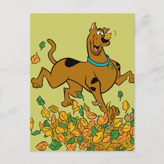 Cartão Postal De Festividades Folhas de Ação de Graças Scooby-Doo (Frente)