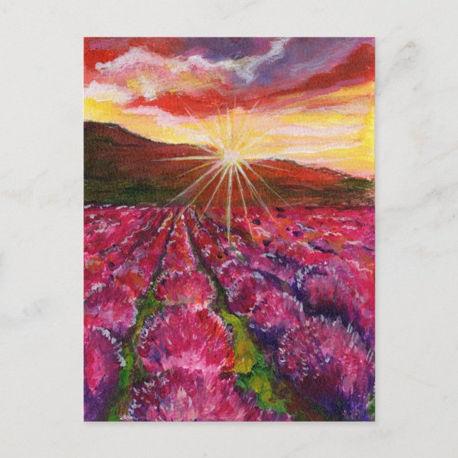 Cartão Postal De Festividades Fornecedor França de Campo de Lavanda Rosa (Frente)