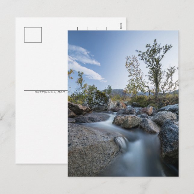 Cartão Postal De Festividades Foto da Noruega Nature (Frente/Verso)