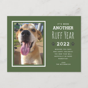 Cartão Postal De Festividades Foto de Cachorro Engraçado Ano Verde Natal 2022