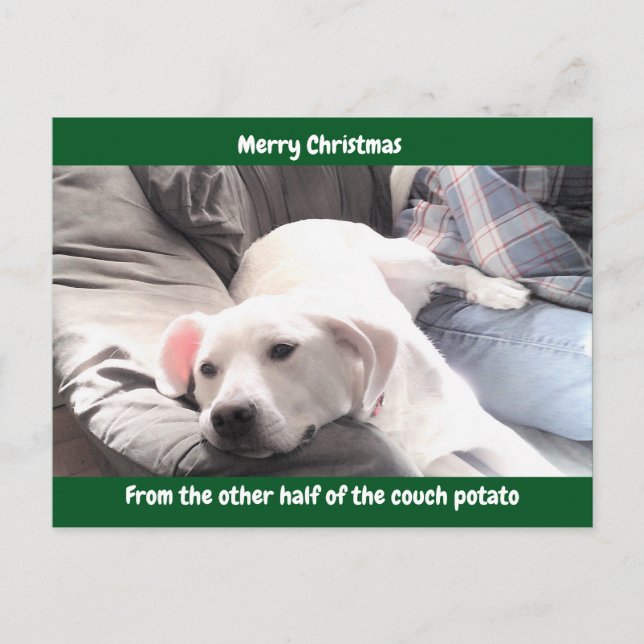 Cartão Postal De Festividades Foto de Cachorro Preguiçoso Branco e Bonito com Pa (Frente)