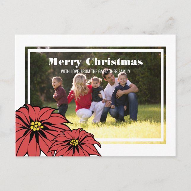 Cartão Postal De Festividades Foto de Feriado de Poinsettia Clássica (Frente)