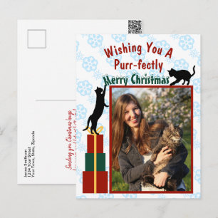 Cartão Postal De Festividades Foto de Gatinhos Divertidos Natal Perfeito