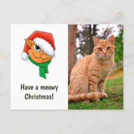 Cartão Postal De Festividades Foto de Gato de Natal