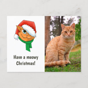 Cartão Postal De Festividades Foto de Gato de Natal
