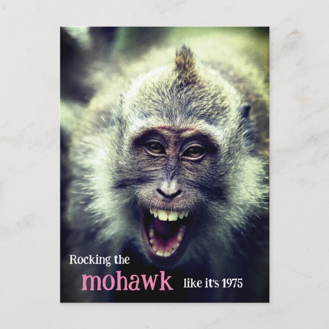 Cartão Postal De Festividades Foto de macaco engraçado (Frente)