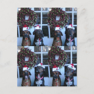 Cartão Postal De Festividades foto de natal para estudantes